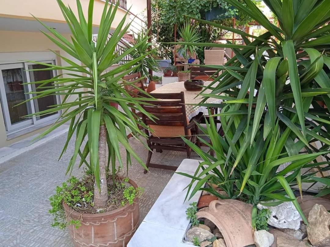Blue Moon Accommodation 네아 미카니오나 외부 사진