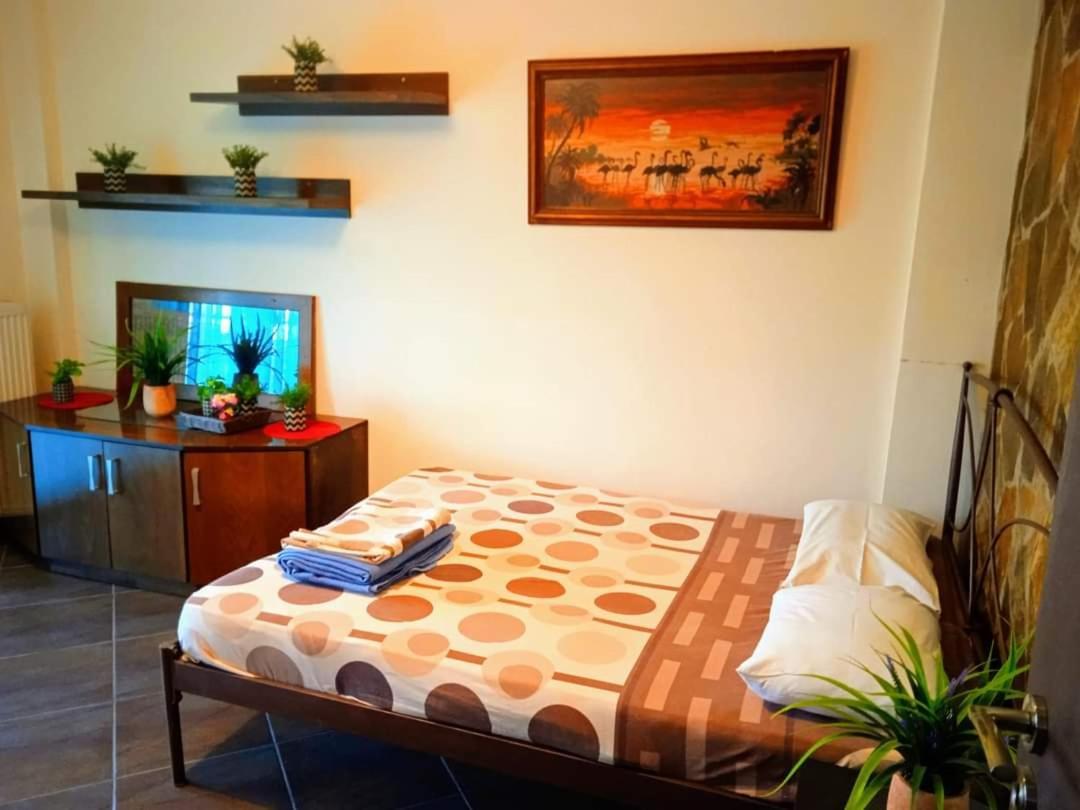 Blue Moon Accommodation 네아 미카니오나 외부 사진